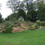 Ein Garten auf dem Campus