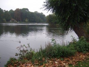 Am See