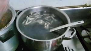 Spaghetti